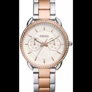 Fossil Tailor's Collection